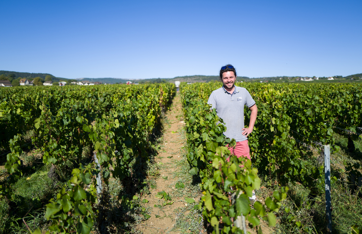 Domaine Michelot | Burgundy, Côte de Beaune, France Wines | Pearl of ...